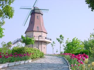 オランダ型風車へ向かう遊歩道