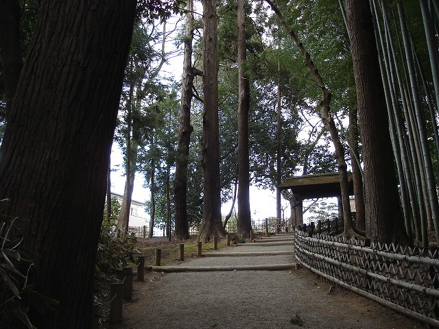 偕楽園表門の「一の木戸」へ通じる竹林の道