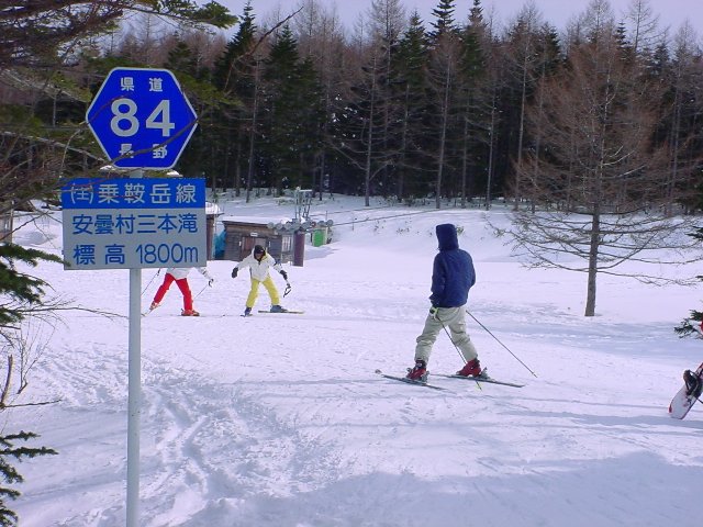 スキー場のコース上に立っている長野県道84号(乗鞍岳線)のヘキサ
