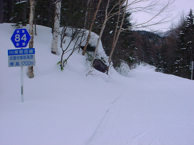 長野県道84号の林間スキーコース